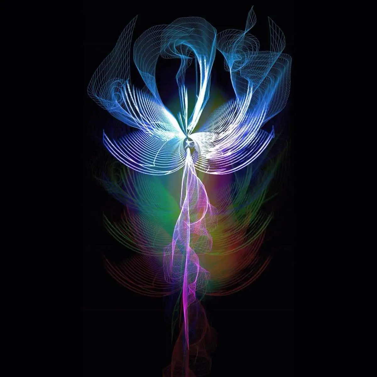 blossoming soul 2021 08 30 19 37 15 utc